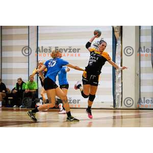 during handball match between RK Krim and RK Zagorje, played in Ilirska Bistrica, Slovenia on September 6, 2014