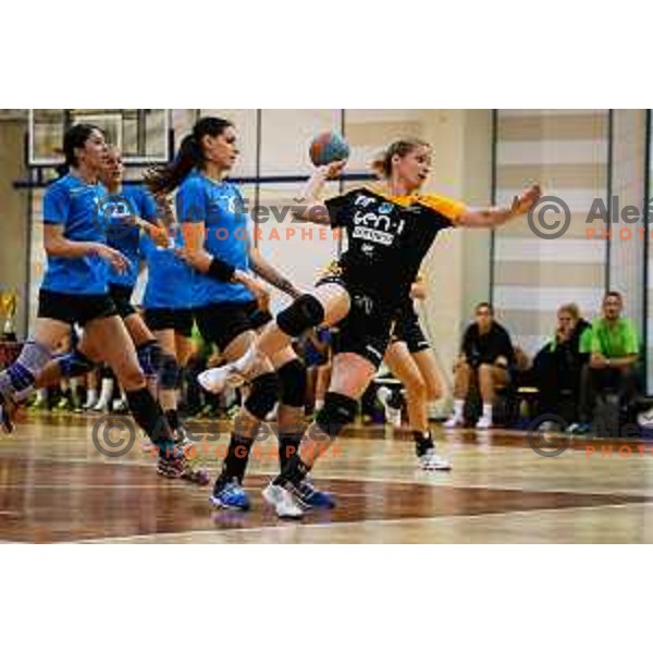 during handball match between RK Krim and RK Zagorje, played in Ilirska Bistrica, Slovenia on September 6, 2014