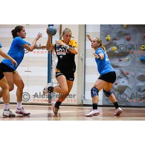 during handball match between RK Krim and RK Zagorje, played in Ilirska Bistrica, Slovenia on September 6, 2014