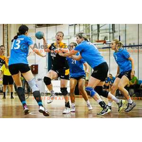 during handball match between RK Krim and RK Zagorje, played in Ilirska Bistrica, Slovenia on September 6, 2014