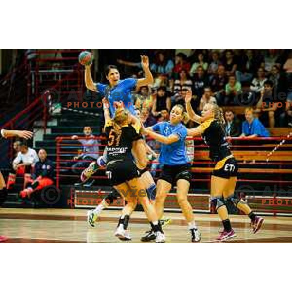 during handball match between RK Krim and RK Zagorje, played in Ilirska Bistrica, Slovenia on September 6, 2014
