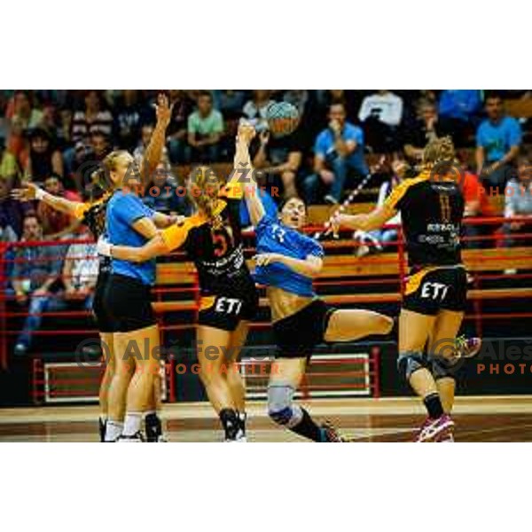 during handball match between RK Krim and RK Zagorje, played in Ilirska Bistrica, Slovenia on September 6, 2014