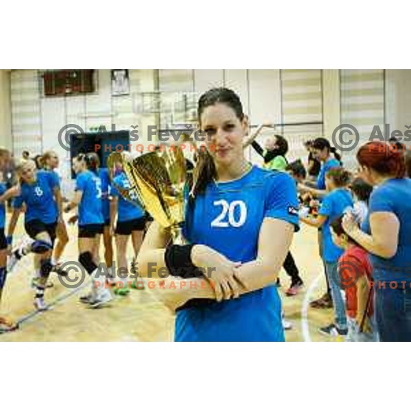 during handball match between RK Krim and RK Zagorje, played in Ilirska Bistrica, Slovenia on September 6, 2014