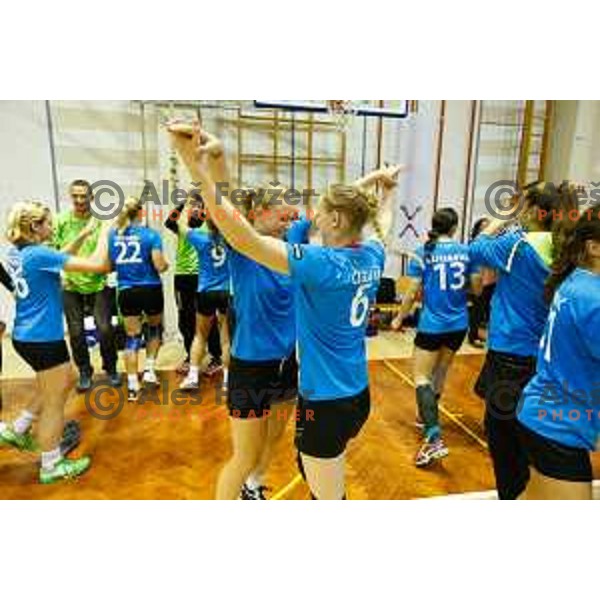 Team of Krim celebrate during handball match between RK Krim and RK Zagorje, played in Ilirska Bistrica, Slovenia on September 6, 2014