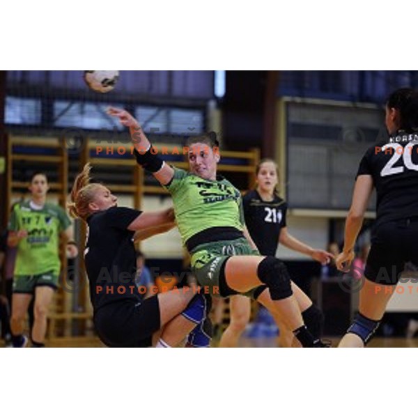 of Krim Mercator in action during Final of Vinko Kandija Memorial handball tournament between RK Krim Mercator and RK Gen I Zagorje, played in Galjevica Hall, Ljubljana, Slovenia on September 13, 2014