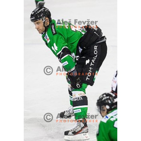 Matej Hocevar in action during ice hockey match Olimpija - Znojmo, EBEL League, Tivoli , Ljubljana, 19.09.2014