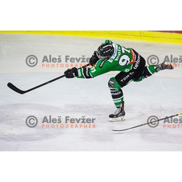 Matt White in action during ice hockey match Olimpija - Znojmo, EBEL League, Tivoli , Ljubljana, 19.09.2014