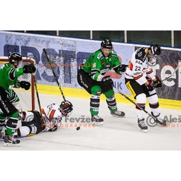 Bostjan Groznik in action during ice hockey match Olimpija - Znojmo, EBEL League, Tivoli , Ljubljana, 19.09.2014