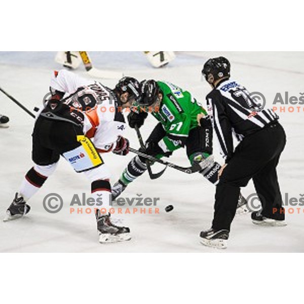 Matt White in action during ice hockey match Olimpija - Znojmo, EBEL League, Tivoli , Ljubljana, 19.09.2014