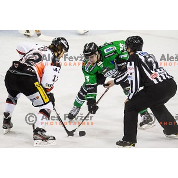 Rok Leber in action during ice hockey match Olimpija - Znojmo, EBEL League, Tivoli , Ljubljana, 19.09.2014