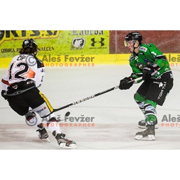 Ivan Sijan in action during ice hockey match Olimpija - Znojmo, EBEL League, Tivoli , Ljubljana, 19.09.2014