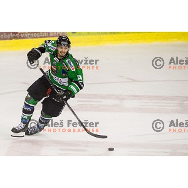 Gregor Koblar in action during ice hockey match Olimpija - Znojmo, EBEL League, Tivoli , Ljubljana, 19.09.2014