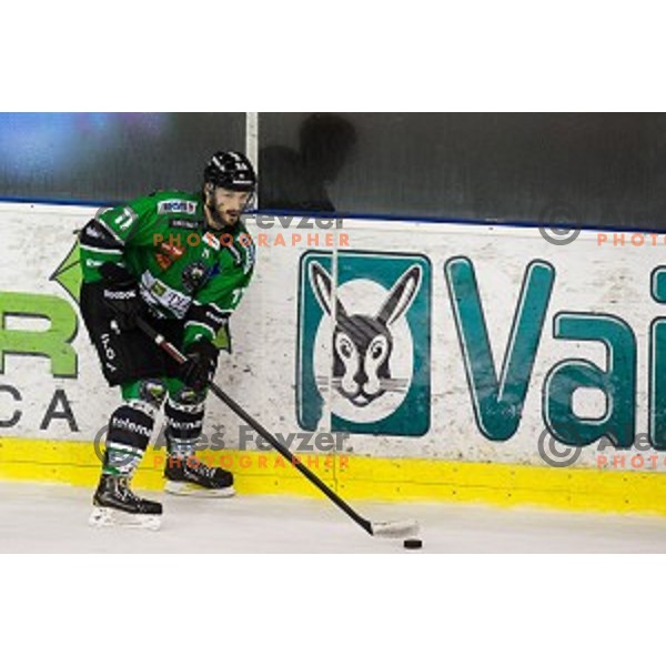 Ziga Pesut in action during ice hockey match Olimpija - Znojmo, EBEL League, Tivoli , Ljubljana, 19.09.2014