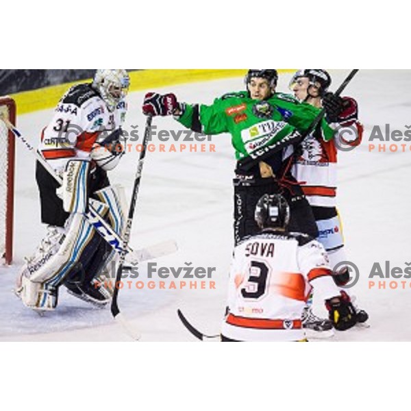 Gal Koren in action during ice hockey match Olimpija - Znojmo, EBEL League, Tivoli , Ljubljana, 19.09.2014