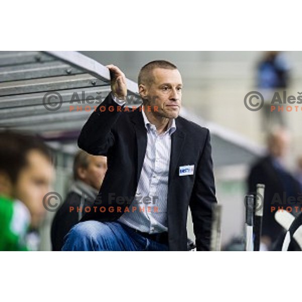 Fabian Dahlem in action during ice hockey match Olimpija - Znojmo, EBEL League, Tivoli , Ljubljana, 19.09.2014