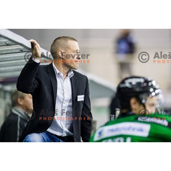 Fabian Dahlem in action during ice hockey match Olimpija - Znojmo, EBEL League, Tivoli , Ljubljana, 19.09.2014