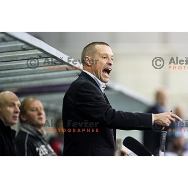 Fabian Dahlem in action during ice hockey match Olimpija - Znojmo, EBEL League, Tivoli , Ljubljana, 19.09.2014