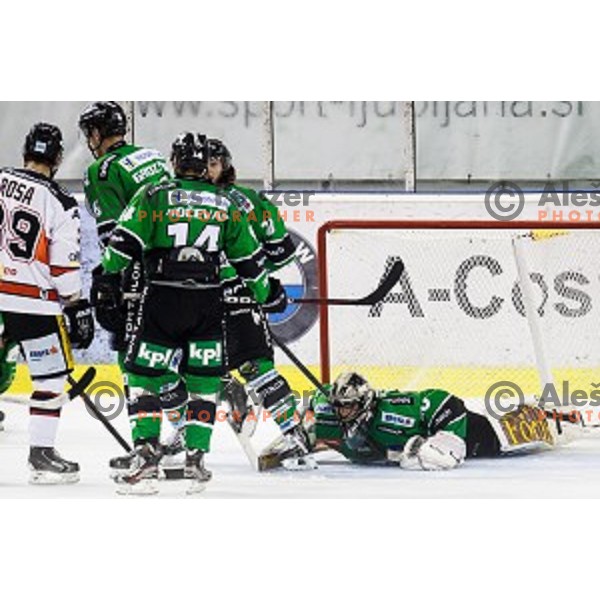 Andy Chiodo in action during ice hockey match Olimpija - Znojmo, EBEL League, Tivoli , Ljubljana, 19.09.2014