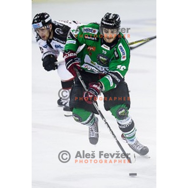 Gal Koren in action during ice hockey match Olimpija - Znojmo, EBEL League, Tivoli , Ljubljana, 19.09.2014
