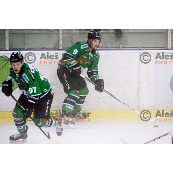 Hunter Bishop in action during ice hockey match Olimpija - Znojmo, EBEL League, Tivoli , Ljubljana, 19.09.2014