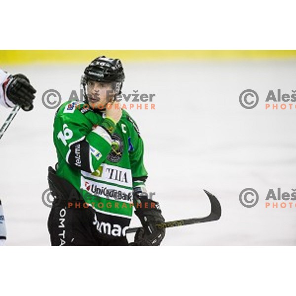Ales Music in action during ice hockey match Olimpija - Znojmo, EBEL League, Tivoli , Ljubljana, 19.09.2014