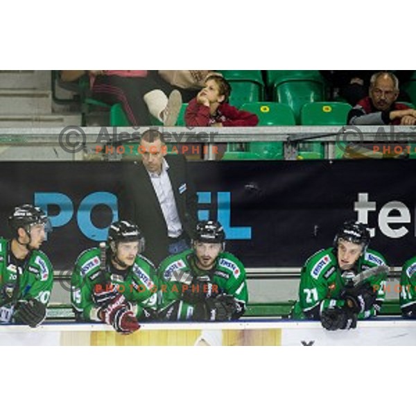 Fabian Dahlem in action during ice hockey match Olimpija - Znojmo, EBEL League, Tivoli , Ljubljana, 19.09.2014