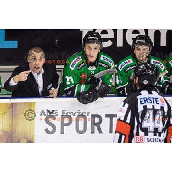 Fabian Dahlem in action during ice hockey match Olimpija - Znojmo, EBEL League, Tivoli , Ljubljana, 19.09.2014
