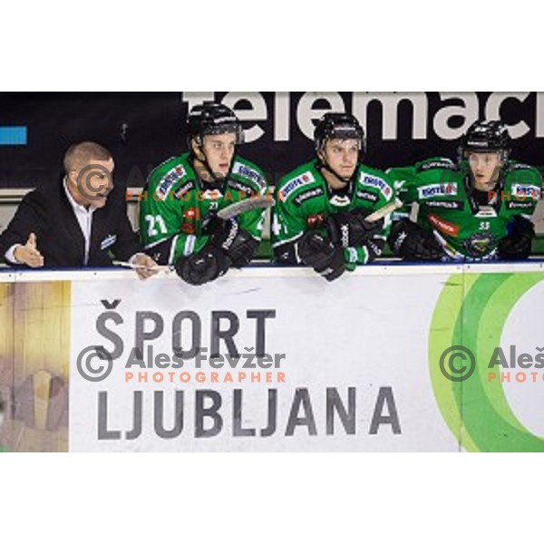 Fabian Dahlem in action during ice hockey match Olimpija - Znojmo, EBEL League, Tivoli , Ljubljana, 19.09.2014