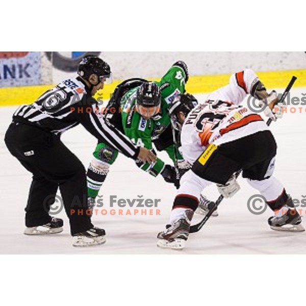 Matej Hocevar in action during ice hockey match Olimpija - Znojmo, EBEL League, Tivoli , Ljubljana, 19.09.2014