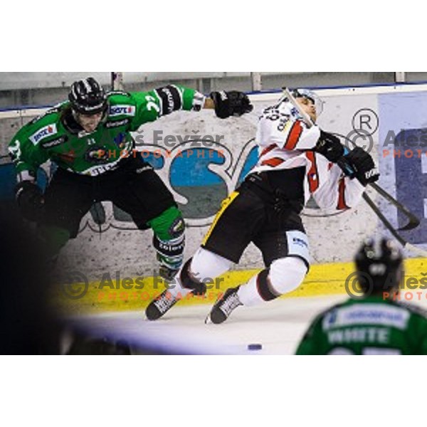 David Planko in action during ice hockey match Olimpija - Znojmo, EBEL League, Tivoli , Ljubljana, 19.09.2014