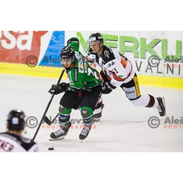 Gregor Koblar in action during ice hockey match Olimpija - Znojmo, EBEL League, Tivoli , Ljubljana, 19.09.2014