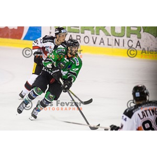 Gregor Koblar in action during ice hockey match Olimpija - Znojmo, EBEL League, Tivoli , Ljubljana, 19.09.2014