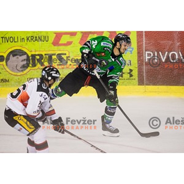 Gregor Koblar in action during ice hockey match Olimpija - Znojmo, EBEL League, Tivoli , Ljubljana, 19.09.2014