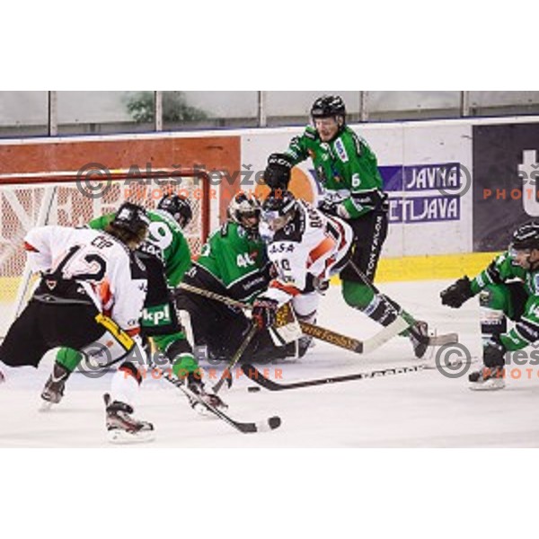Andy Chiodo, Bostjan Groznik in action during ice hockey match Olimpija - Znojmo, EBEL League, Tivoli , Ljubljana, 19.09.2014