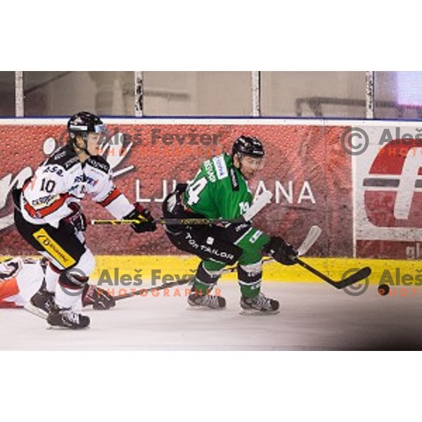 Matej Hocevar in action during ice hockey match Olimpija - Znojmo, EBEL League, Tivoli , Ljubljana, 19.09.2014