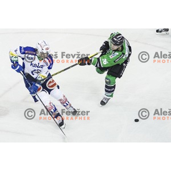 Ales Music in action during ice hockey match of 5th round of EBEL League in Season 2014/15 between HDD Telemach Olimpija and EC VSV, played in Tivoli Hall, Ljubljana, Slovenia, on September 26, 2014