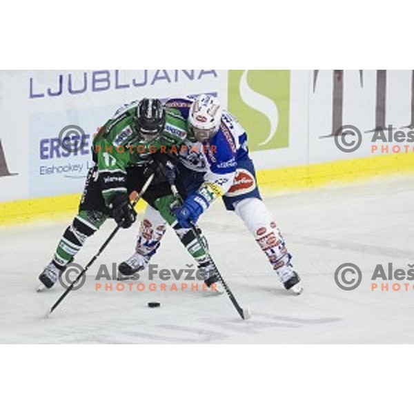 Miha Logar in action during ice hockey match of 5th round of EBEL League in Season 2014/15 between HDD Telemach Olimpija and EC VSV, played in Tivoli Hall, Ljubljana, Slovenia, on September 26, 2014
