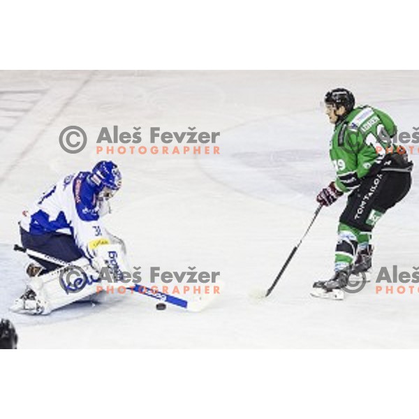 Gal Koren in action during ice hockey match of 5th round of EBEL League in Season 2014/15 between HDD Telemach Olimpija and EC VSV, played in Tivoli Hall, Ljubljana, Slovenia, on September 26, 2014