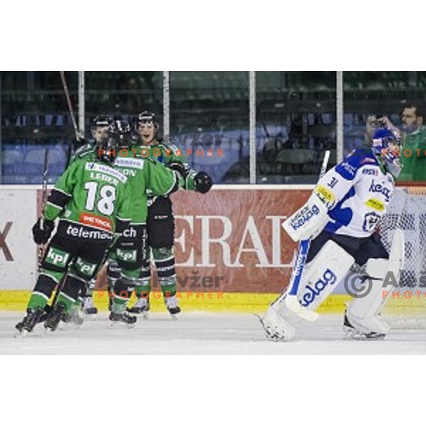Team Olimpija during ice hockey match of 5th round of EBEL League in Season 2014/15 between HDD Telemach Olimpija and EC VSV, played in Tivoli Hall, Ljubljana, Slovenia, on September 26, 2014