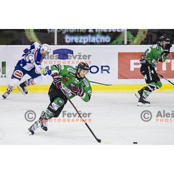 Gal Koren in action during ice hockey match of 5th round of EBEL League in Season 2014/15 between HDD Telemach Olimpija and EC VSV, played in Tivoli Hall, Ljubljana, Slovenia, on September 26, 2014