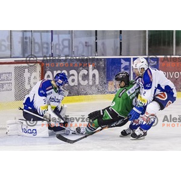 Hunter Bishop in action during ice hockey match of 5th round of EBEL League in Season 2014/15 between HDD Telemach Olimpija and EC VSV, played in Tivoli Hall, Ljubljana, Slovenia, on September 26, 2014