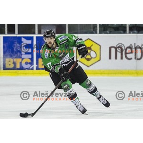 Ivan Sijan in action during ice hockey match of 5th round of EBEL League in Season 2014/15 between HDD Telemach Olimpija and EC VSV, played in Tivoli Hall, Ljubljana, Slovenia, on September 26, 2014