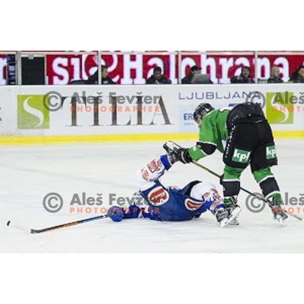 During ice hockey match of 5th round of EBEL League in Season 2014/15 between HDD Telemach Olimpija and EC VSV, played in Tivoli Hall, Ljubljana, Slovenia, on September 26, 2014