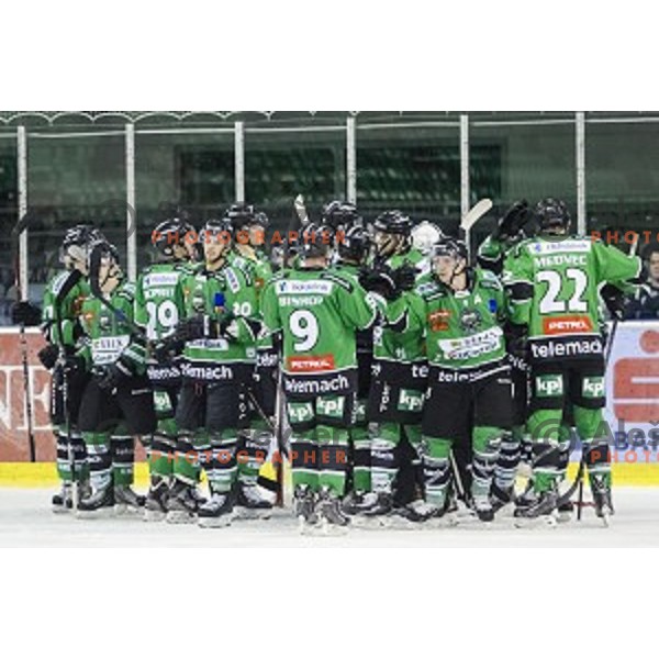 in action during ice hockey match of 5th round of EBEL League in Season 2014/15 between HDD Telemach Olimpija and EC VSV, played in Tivoli Hall, Ljubljana, Slovenia, on September 26, 2014