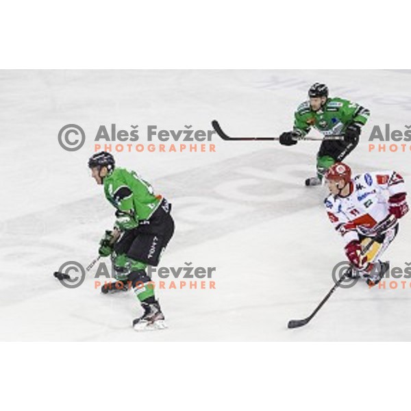 Anze Ropret and Matej Hocevar in action during ice hockey match of 6th round of EBEL League in Season 2014/15 between HDD Telemach Olimpija and HC TWK Innsbruck, played in Tivoli Hall, Ljubljana, Slovenia, on September 28, 2014