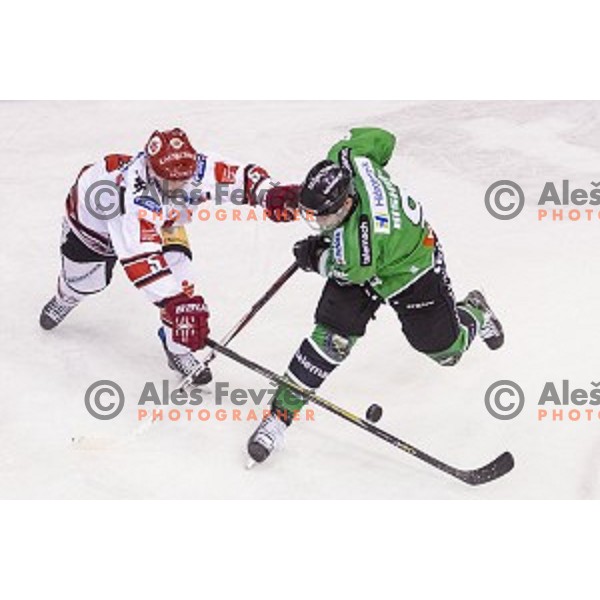 Hunter Bishop in action during ice hockey match of 6th round of EBEL League in Season 2014/15 between HDD Telemach Olimpija and HC TWK Innsbruck, played in Tivoli Hall, Ljubljana, Slovenia, on September 28, 2014