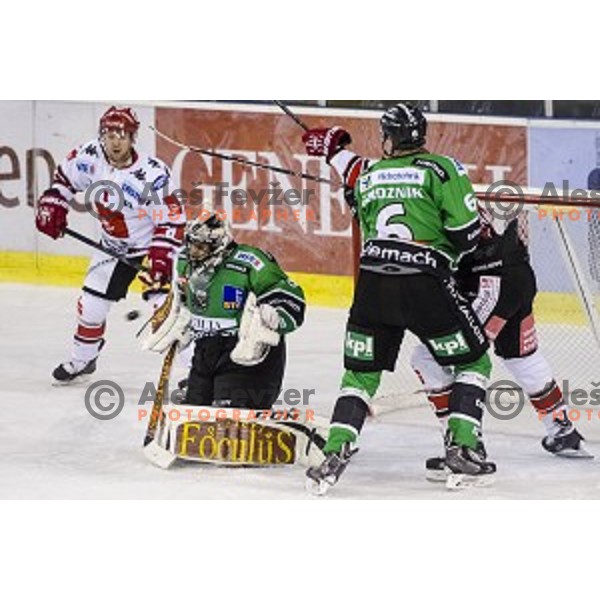 Andy Chiodo and Bostjan Groznik in action during ice hockey match of 6th round of EBEL League in Season 2014/15 between HDD Telemach Olimpija and HC TWK Innsbruck, played in Tivoli Hall, Ljubljana, Slovenia, on September 28, 2014