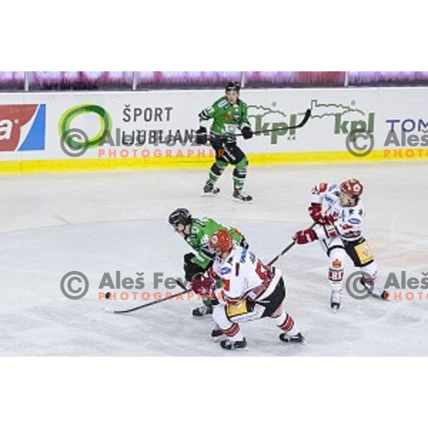 Rok Leber in action during ice hockey match of 6th round of EBEL League in Season 2014/15 between HDD Telemach Olimpija and HC TWK Innsbruck, played in Tivoli Hall, Ljubljana, Slovenia, on September 28, 2014