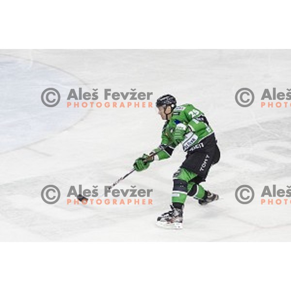 Anze Ropret in action during ice hockey match of 6th round of EBEL League in Season 2014/15 between HDD Telemach Olimpija and HC TWK Innsbruck, played in Tivoli Hall, Ljubljana, Slovenia, on September 28, 2014