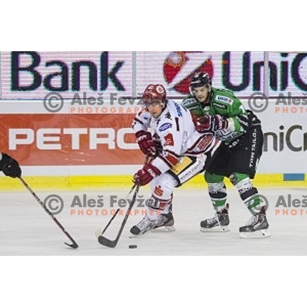 Gal Koren in action during ice hockey match of 6th round of EBEL League in Season 2014/15 between HDD Telemach Olimpija and HC TWK Innsbruck, played in Tivoli Hall, Ljubljana, Slovenia, on September 28, 2014